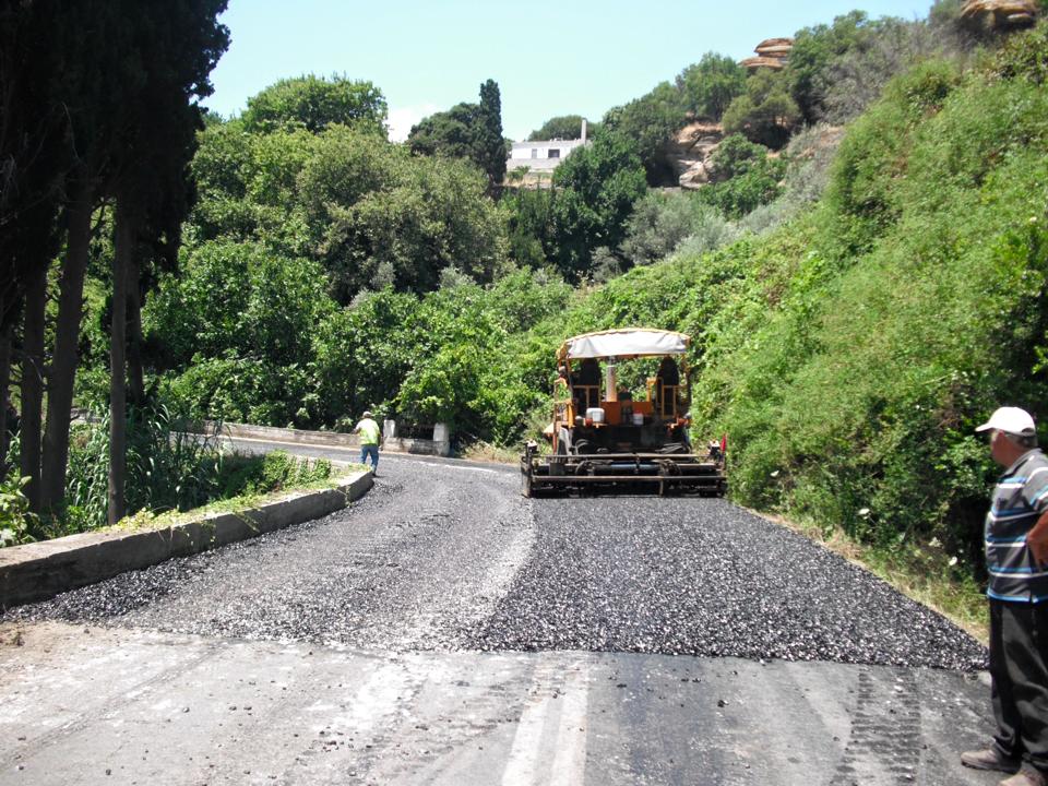 φροντιδα στους δρόμους της ανδρου από τον Έπαρχο Άνδρου may june 2016 vanglouk androsfilm (13)